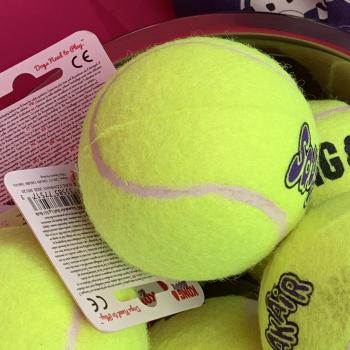 Kong air ball