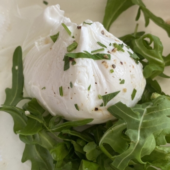 Poached Egg(1) 