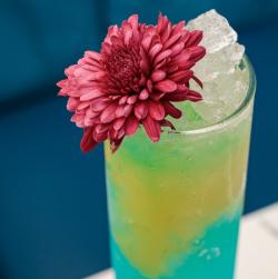 Cocktail - Mermaids in Havana