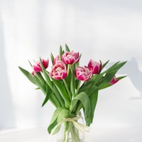 Flowers 2